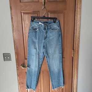 Sincerely Jules Light Blue Ankle Jeans